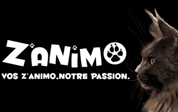 Z'animo