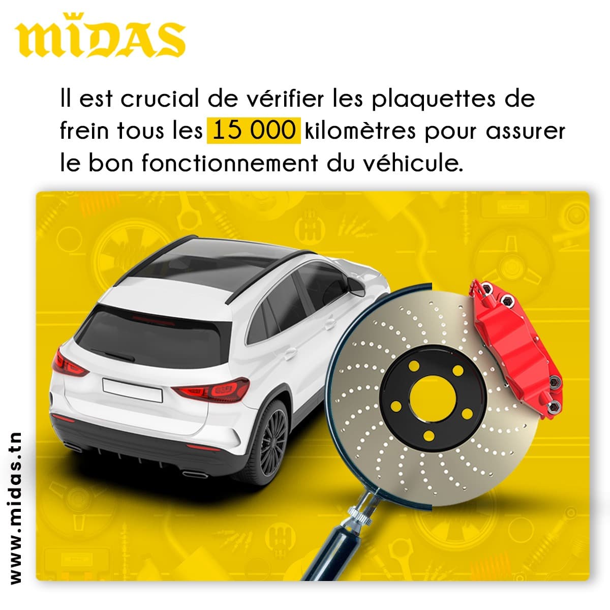 MIDAS Photos 8