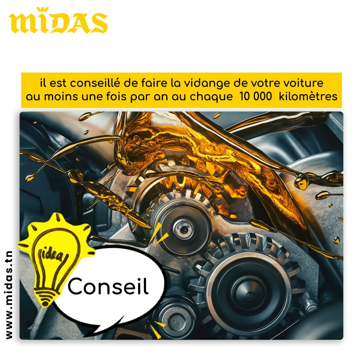 MIDAS Photos 9